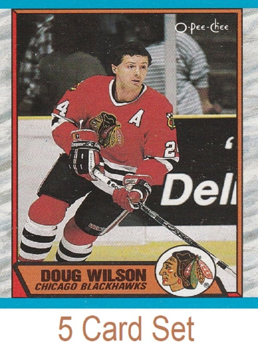 Doug Wilson Hockey Card Collection